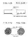 Fig. 12 - SAMPLE PREPARATION APPARATUS, SAMPLE PREPARATION METHOD, AND CHARGED PARTICLE BEAM APPARATUS USING THE SAME