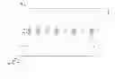 Fig. 01 - Graphene screening and separation method and device