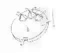 Fig. 01 - Showerhead or aerator containing pressure compensation device