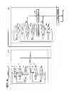 Fig. 05 - Fuel injection controller and fuel-injection-control system