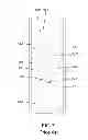 Fig. 09 - Single pull rope driving device for a window shade
