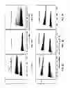 Fig. 07 - Mixed crystal organic scintillators