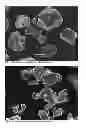 Fig. 05 - Lithium Cobalt Oxide Material