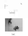 Fig. 07 - Preparation of metal colloids