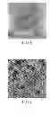 Fig. 02 - Organic compound and organic electroluminescent device employing the same