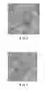 Fig. 03 - Organic compound and organic electroluminescent device employing the same