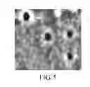 Fig. 04 - Organic compound and organic electroluminescent device employing the same
