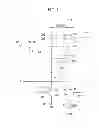 Fig. 02 - Organic light emitting diode display