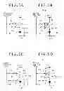 Fig. 06 - Organic EL display device and electronic apparatus