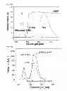 Fig. 29 - Full-color LED display device and manufacturing method thereof