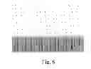 Fig. 07 - CVD-free, scalable processes for the production of silicon micro- and nanostructures
