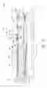 Fig. 07 - Packaged semiconductor assemblies and methods for manufacturing such assemblies