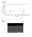 Fig. 02 - Piston ring