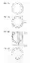 Fig. 09 - Piezoelectric element, oscillatory wave motor, and optical apparatus