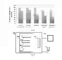 Fig. 06 - Distance based modelling and manipulation methods for augmented reality systems using ultrasonic gloves