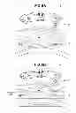 Fig. 07 - Vehicular display system