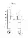 Fig. 22 - Information processing apparatus, information processing method and computer program