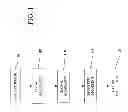 Fig. 02 - Modeling and Editing Image Panoramas