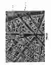 Fig. 07 - Roof Generation And Texturing Of 3D Models