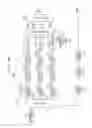 Fig. 24 - TRANSMISSION DEVICE, TRANSMISSION METHOD, RECEPTION APPARATUS, AND RECEPTION METHOD