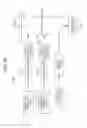 Fig. 25 - TRANSMISSION DEVICE, TRANSMISSION METHOD, RECEPTION APPARATUS, AND RECEPTION METHOD