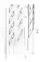 Fig. 06 - Image-displaying device and method for controlling image-displaying device