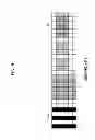 Fig. 19 - Image pickup apparatus, image pickup element, and method for correcting sensitivity difference