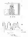 Fig. 07 - Imaging apparatus and imaging method for flare portrait scene imaging