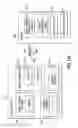Fig. 03 - Methods and Apparatuses for Providing Automatic Interactive Area of Visability Video Zooming for Low Light Environments