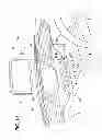 Fig. 14 - Vehicular display device