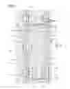 Fig. 02 - Liquid crystal display