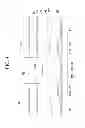 Fig. 05 - Liquid crystal display and manufacturing method thereof