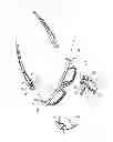Fig. 02 - Safety glasses