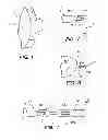 Fig. 02 - Eyeglasses