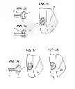 Fig. 04 - Eyeglasses