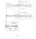 Fig. 05 - Electronic eye marking/registration