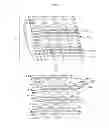 Fig. 04 - LIGHT FIELD DISPLAY APPARATUS AND METHOD