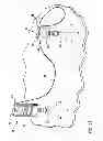 Fig. 15 - Electronic target for simulated shooting
