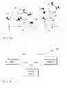 Fig. 05 - Surface enhanced raman spectroscopy sensor, system and method of sensing
