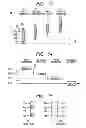 Fig. 10 - Defect inspecting method and defect inspecting apparatus
