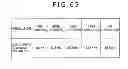 Fig. 50 - Image display device