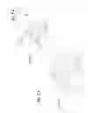 Fig. 06 - ROTATABLE BULB