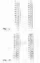 Fig. 02 - Shiftable memory