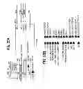 Fig. 29 - Memory architecture with local and global control circuitry