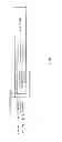 Fig. 32 - Wireless communication apparatus and wireless communication method
