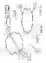 Fig. 29 - Methods and systems for changing topology of an asymmetric network