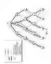 Fig. 07 - Enabling dynamic routing topologies in support of real-time delay traffic