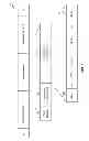 Fig. 08 - Method and apparatus for supporting communication in pico networks