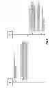 Fig. 09 - Flexible spectrum support in cellular wireless communications