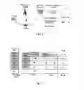 Fig. 08 - Method, device and system for wireless broadband communications